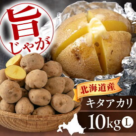 【ふるさと納税】北海道 新じゃが じゃがいも キタアカリ 10kg 《喜茂別町》【Aコープようてい】ジャガイモ じゃがいも 新じゃが 新じゃがいも 野菜 季節の野菜 秋野菜 詰め合わせ 北海道 産地直送 [AJAK010] 8000 8000円 8千円