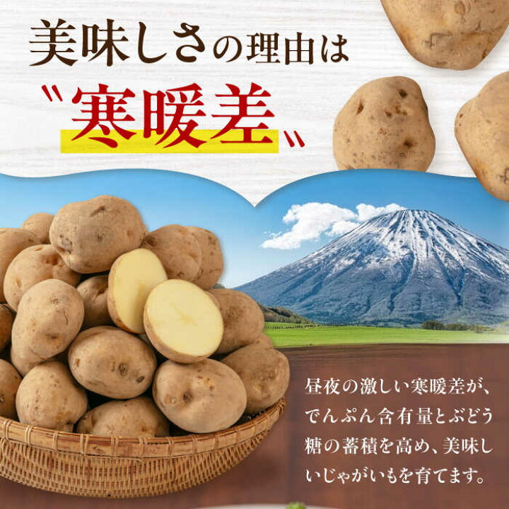 楽天市場】【ふるさと納税】【2026年1月以降順次発送】じゃがいも きた 