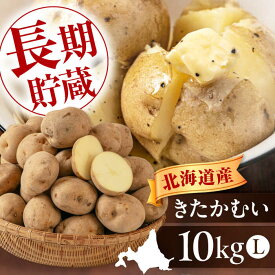 【ふるさと納税】先行予約 北海道 じゃがいも きたかむい 10kg 《喜茂別町》【Aコープようてい】 先行予約 ジャガイモ 野菜 季節の野菜 冬野菜 詰め合わせ 北海道 産地直送 直送農場 [AJAK012] 8000 8000円 8千円