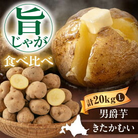 【ふるさと納税】先行予約 北海道 じゃがいも 食べ比べセット 20kg（ 男爵芋 きたかむい 各 10kg )《喜茂別町》【Aコープようてい】 先行予約 ジャガイモ 季節の野菜 詰め合わせ セット [AJAK015] 15000 15000円