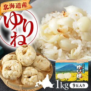 yӂ邳Ɣ[Łzs\ 荪 1kg 9 Mtg sΕʒt@yAR[v悤Ăz s\  l kC G߂̖ ~ Mtg v[g Yn kC kCY 