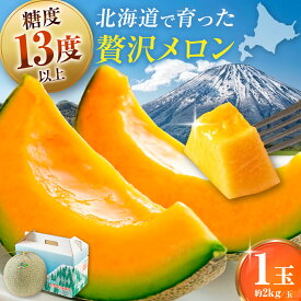 【ふるさと納税】先行予約 赤肉メロン 2kg × 1玉 《喜茂別町》【Aコープようてい】 先行予約 数量限定 メロン 赤肉 フルーツ 果物 贈答用 お取り寄せ 果肉 国産 産地直送 北海道 北海道産 送料無料 人気 美味しい おすすめ 常温 [AJAK023] 9000 9000円 9千円 1万 未満
