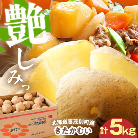 【ふるさと納税】＼長期貯蔵で甘み増し！／ じゃがいも きたかむい 5kg ※2027年1月上旬以降順次発送《喜茂別町》【Aコープようてい】 ジャガイモ 野菜 季節の野菜 詰め合わせ 北海道 産地直送 [AJAK029] 7000 7000円