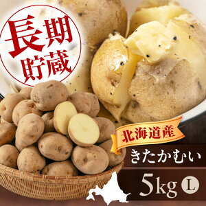 yӂ邳Ɣ[Łzs\ Ⴊ ނ 5kg sΕʒtyAR[v悤Ăz WKC  G߂̖ lߍ킹 kC Yn [AJAK029] 5000 5000~ 5~