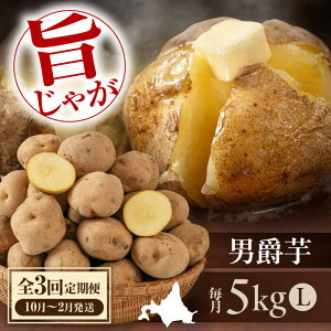 yӂ邳Ɣ[ŁzyS3ցz s\ Ⴊ j݈ 5kg sΕʒtyAR[v悤Ăz WKC Ⴊ  G߂̖ lߍ킹 kC Yn   [AJAK031