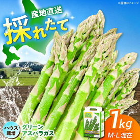 【ふるさと納税】【2026年4月上旬以降順次発送】北海道 グリーンアスパラガス 1kg （M・L混在/ハウス栽培）《喜茂別町》【久保田農園】 アスパラ アスパラガス グリーンアスパラ 冷蔵 26年発送 [AJAM006] 13000 13000円
