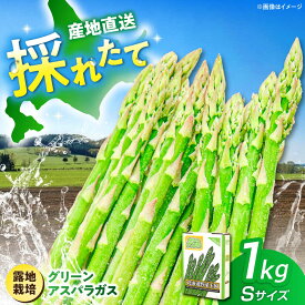 【ふるさと納税】【2026年5月上旬以降順次発送】グリーンアスパラガス 1kg （S/露地栽培）《喜茂別町》【久保田農園】アスパラ アスパラガス グリーンアスパラ 冷蔵 野菜 春野菜 26年発送 [AJAM009] 8000 8000円 8千円