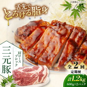 yӂ邳Ɣ[ŁzyS2ցzcq [XubN 1.2kg (600g×2P) sΕʒtycqz  ؓ [X ubN [Xg|[N ϓ | ϕ  kC [AJAP114] 35000 35000