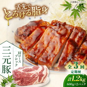 yӂ邳Ɣ[ŁzyS3ցzcq [XubN 1.2kg (600g×2P) sΕʒtycqz  ؓ [X ubN [Xg|[N ϓ | ϕ  kC [AJAP115] 52000 52000