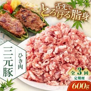 yӂ邳Ɣ[ŁzyS3ցzcq Ђ 600g sΕʒtycqz  ؓ ~` ؃~` Lq  Ⓚz   kC cq O [AJAP119] 21000 21000~