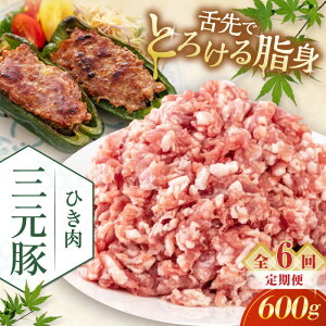 yӂ邳Ɣ[ŁzyS6ցzcq Ђ 600g sΕʒtycqz  ؓ ~` ؃~` Lq  Ⓚz   kC cq O [AJAP120] 42000 42000~