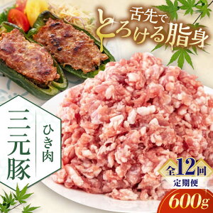 yӂ邳Ɣ[ŁzyS12ցzcq Ђ 600g sΕʒtycqz  ؓ ~` ؃~` Lq  Ⓚz   kC cq O [AJAP121] 84000 84000~
