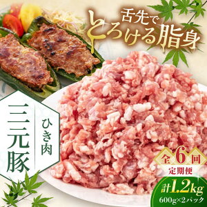 yӂ邳Ɣ[ŁzyS6ցzcq Ђ 1.2kg (600g×2P) sΕʒtycqz  ؓ ~` ؃~` Lq  Ⓚz   kC cq O [AJAP124] 78000 780