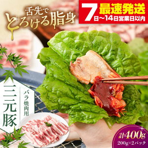 yӂ邳Ɣ[Łzcq o ēp 400g (200g×2P)sΕʒtycqz  ؓ ؃o o Jr ē XCX Ⓚ Ⓚz kC cq O [AJAP134] 14000 14000~