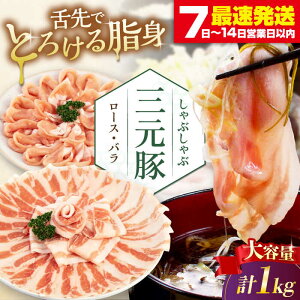 yӂ邳Ɣ[Łzcq Ԃ Zbg 1kg ( [XEo ) EziV sΕʒtycqz  ؓ [X o [X o Ԃ  Ⓚz cq [