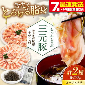 yӂ邳Ɣ[Łzcq Ԃ Zbg 500g ([XEo) EztsΕʒtycqz  ؓ [X o [X o Ԃ Zbg   Ⓚz 