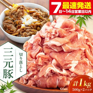 yӂ邳Ɣ[Łzcq ؂藎Ƃ 1kg (500g×2P) sΕʒtycqz  ؓ IĂ  Ⓚ Ⓚz kC cq O [AJAP005] 11000 11000~