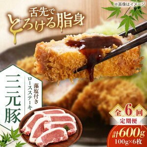 yӂ邳Ɣ[ŁzyS6ցzcq [XXe[L 600g (100g×6) t sΕʒtycqz ؓ [X Xe[L Xe[Lp Ƃ񂩂 IĂ  kC [AJAP024] 78