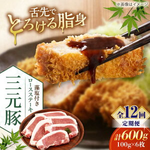 yӂ邳Ɣ[ŁzyS12ցzcq [XXe[L 600g (100g×6) t sΕʒtycqz ؓ [X Xe[L Xe[Lp Ƃ񂩂 IĂ  kC [AJAP025] 1