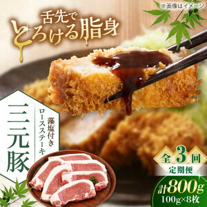 yӂ邳Ɣ[ŁzyS3ցzcq [XXe[L 800g (100g×8) t sΕʒtycqz ؓ [X Xe[L Xe[Lp Ƃ񂩂 IĂ  kC [AJAP027] 51