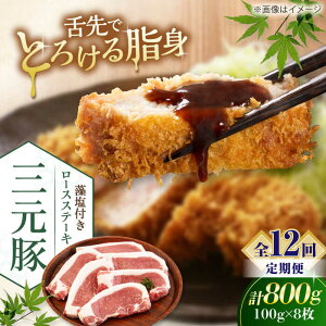 yӂ邳Ɣ[ŁzyS12ցzcq [XXe[L 800g (100g×8) t sΕʒtycqz ؓ [X Xe[L Xe[Lp Ƃ񂩂 IĂ  kC [AJAP029] 2