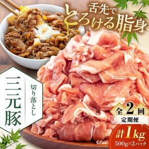 yӂ邳Ɣ[ŁzyS2ցzcq ؂藎Ƃ 1kg (500g×2P) sΕʒtycqz  ؓ IĂ  Ⓚ Ⓚz   kC cq O [AJAP030] 22000 22000~