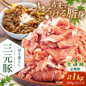 yӂ邳Ɣ[ŁzyS3ցzcq ؂藎Ƃ 1kg (500g×2P) sΕʒtycqz  ؓ IĂ  Ⓚ Ⓚz   kC cq O [AJAP031] 33000 33000~
