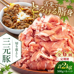 yӂ邳Ɣ[ŁzyS6ցzcq ؂藎Ƃ 2kg (500g×4P) sΕʒtycqz  ؓ IĂ  Ⓚ Ⓚz   kC cq O [AJAP036] 120000 120000