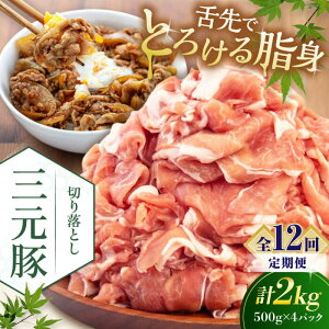 yӂ邳Ɣ[ŁzyS12ցzcq ؂藎Ƃ 2kg (500g×4P) sΕʒtycqz  ؓ IĂ  Ⓚ Ⓚz   kC cq O [AJAP037] 240000 240000