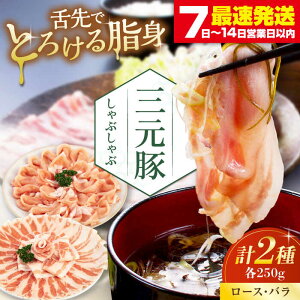 yӂ邳Ɣ[Łzcq ԂԃZbg 500g ([XEo) EziV sΕʒtycqz  ؓ [X o [X o Ԃ  Ⓚz kC c