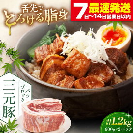 【ふるさと納税】北海道 平田牧場 バラブロック1.2kg (600g×2P) 《喜茂別町》【平田牧場】 肉 豚肉 バラ ブロック 煮豚 酢豚 煮物 冷凍配送 北海道 平田牧場 三元豚 [AJAP073] 13000 13000円