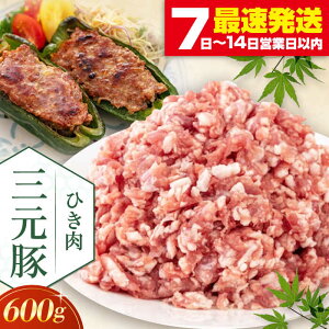 yӂ邳Ɣ[Łzcq Ђ 600g sΕʒtycqz  ؓ ~` ؃~` Lq  Ⓚz kC cq O [AJAP076] 7000 7000~ 7~