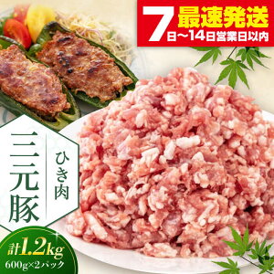 yӂ邳Ɣ[Łzcq Ђ 1.2kg (600g×2P) sΕʒtycqz  ؓ ~` ؃~` Lq  Ⓚz kC cq O [AJAP077] 13000 13000~