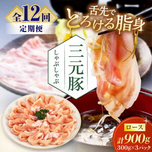 yӂ邳Ɣ[ŁzyS12ցzcq ԂԃZbg 900g [X EziV sΕʒtycqz  ؓ [X [X Zbg Ԃ  Ⓚz kC [