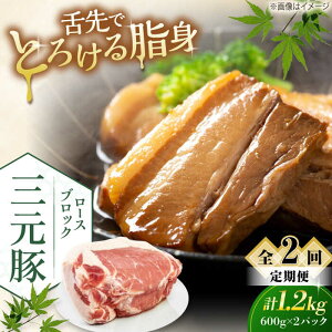 yӂ邳Ɣ[ŁzyS2ցzcq [XubN 1.2kg (600g×2P) sΕʒtycqz  ؓ [X ubN [Xg|[N ϓ | ϕ Ⓚz kC [AJAP098] 36000 36000