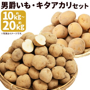 yӂ邳Ɣ[ŁzႪ j݁EL^AJZbg 10kg/20kg Iׂe LTCY Ⴊ 2 Hה Zbg   ɒY kCY Y y2025N9{`12