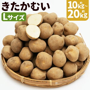 yӂ邳Ɣ[ŁzႪ ނ 10kg/20kg Iׂe LTCY   ɒY kCY Y y2026N1{`2{ɏ\z yVX[p[SALE 9J
