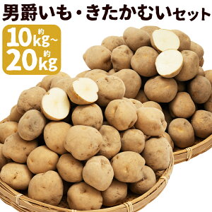 yӂ邳Ɣ[ŁzႪ j݁EނZbg 10kg/20kg Iׂe LTCY Ⴊ 2 Hה Zbg   ɒY kCY Y y2026N1{`2{