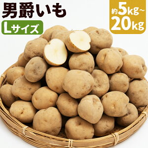 yӂ邳Ɣ[ŁzႪ j 5kg / 10kg / 20kg Iׂe LTCY WKC Ⴊ   ɒY kCY Y  y2025N9{`2026N2{ɏ\z