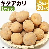 楽天市場】キタアカリ ジャガイモ 20kgの通販