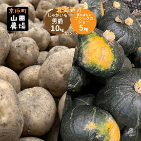 【ふるさと納税】北海道産じゃがいも男爵10kg・かぼちゃブラックのジョー5kg　【 野菜 野菜セット 野菜詰め合わせ ホクホク 栗南瓜 秋の味覚 生産者直送 食材 北海道野菜 旬の野菜 】　お届け：2024年10月～11月下旬