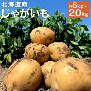 yӂ邳Ɣ[ŁzkCYႪ j/L^AJ 5kg/10kg/20kg Iׂ Iׂe M`2LTCY Ⴊ  Rc_ ɒY kCY Y y2025N9