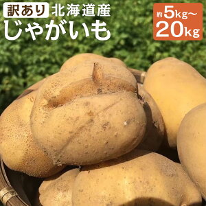 yӂ邳Ɣ[Łzy󂠂zkCYႪ j/L^AJ 5kg/10kg/20kg Iׂ Iׂe M`2LTCY ƒp Ⴊ  Rc_ ɒY kCY Y 