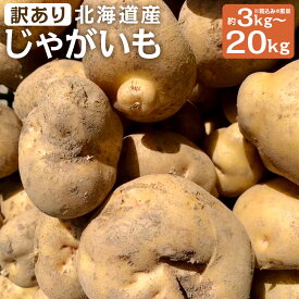 【ふるさと納税】【訳あり】北海道産じゃがいも 男爵/キタアカリ 約3kg / 約5kg / 約10kg / 約20kg ＜ 選べる種類 ・ 選べる内容量 ＞ M～2Lサイズ混載 ご家庭用 山田農場 京極町産 北海道産 国産 送料無料 【2026年9月下旬-2027年1月上旬迄発送予定】