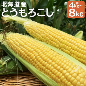 �y�ӂ邳�Ɣ[�Łz�k�C���Y�Ƃ����낱�� �b�� 2L�T�C�Y ��4kg/��8kg �I�ׂ���e�� �Ƃ����낱�� ��� �R�c�_�� ���ɒ��Y �k�C���Y ���Y �① ���������y2026�N8����{-8�����{�������\��z