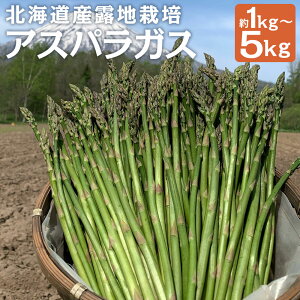 yӂ邳Ɣ[ŁzIׂeʁkCY In͔|AXpKX M`2L 1kg / 2kg / 3kg / 5kg AXpKX O[AXpKX  VN ① Y kC ɒ  y2026N5