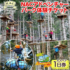 【ふるさと納税】 北海道 NAC アドベンチャー パーク 大人 1日券 2枚 アウトドア アクティビティ アトラクション 冒険 ジップライン ペア 体験チケット バンジージャンプ 子供 大人 夏季 冬季 観光 ひらふ ニセコ 野外 遊び 体験 野遊び アドベンチャーセンター 倶知安町