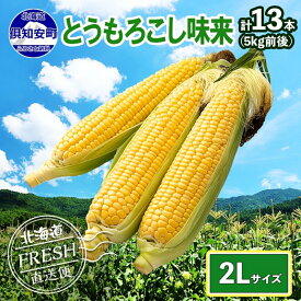 【ふるさと納税】先行予約 2026年 北海道 とうもろこし 味来 みらい 5kg 2Lサイズ 大きめ 夏野菜 とうきび 旬 新鮮 野菜 もろこし トウモロコシ 高糖度 ギフト gift 産地直送 産直 お取り寄せ グルメ 詰め合わせ 送料無料 倶知安町　お届け：2026年8月中旬～9月上旬