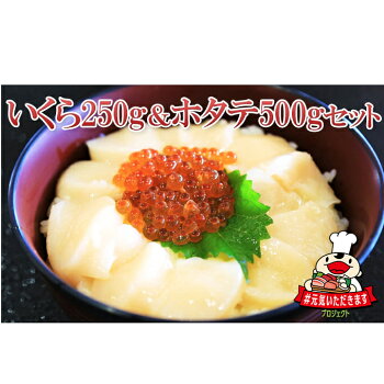 【ふるさと納税】お店で手作り！北海道産いくら醤油漬【250g】と北海道産のホタテ貝柱玉冷 刺身用【500g】　【魚貝類・いくら・魚卵・帆立・ホタテ・いくら醤油漬・ホタテ貝柱】