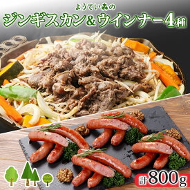 【ふるさと納税】ようてい森のバーベキューセット ジンギスカン 300g ウィンナー 4種各1パック 粗挽き 行者ニンニク じゃがいも 玉ねぎ グルメ BBQ パーティー ラム 小分け エムアンドエフサービス 送料無料 北海道 倶知安町羊肉 ラム肉